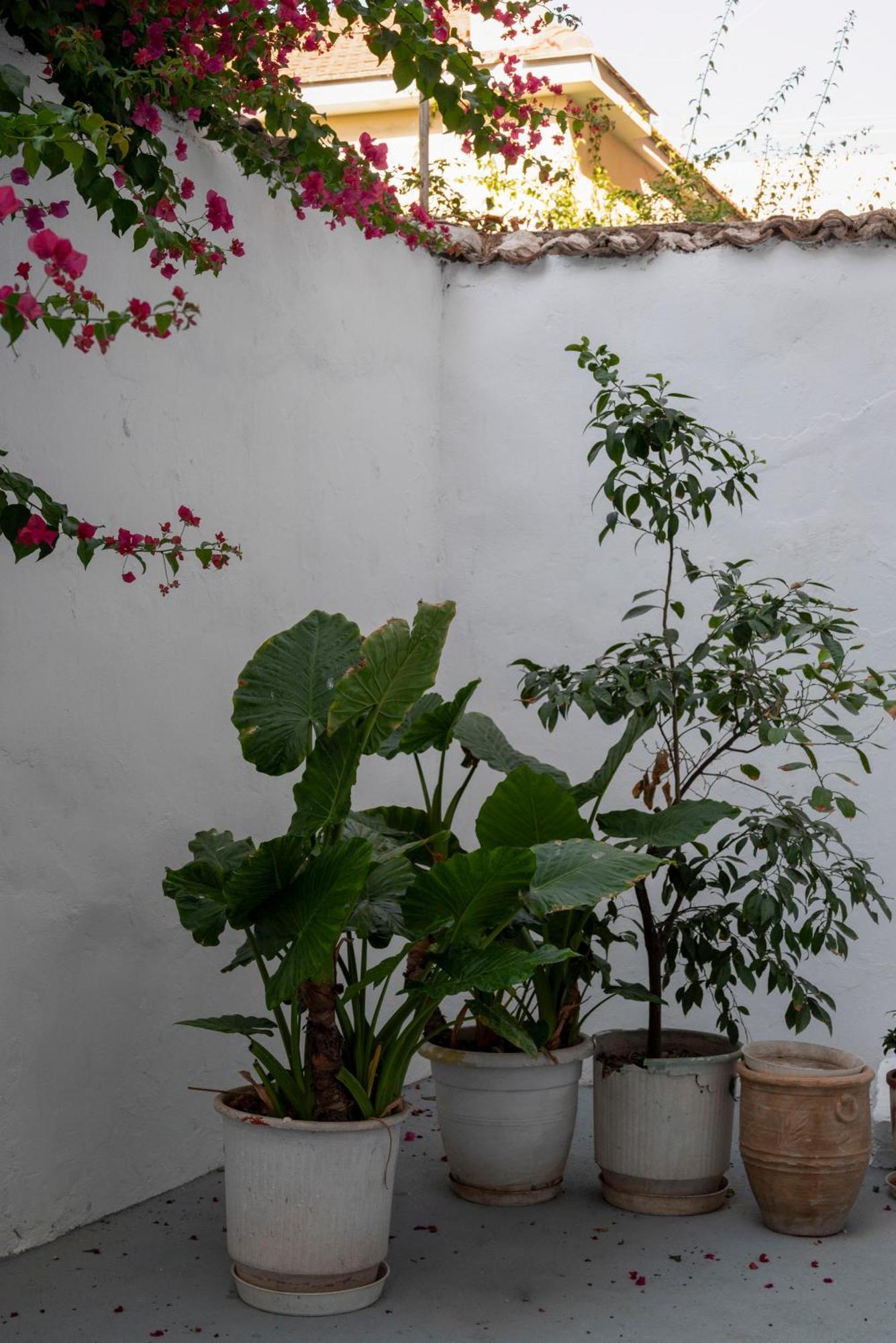 Thissio Getaway 2Ba Next To Athens Ancient Market ภายนอก รูปภาพ